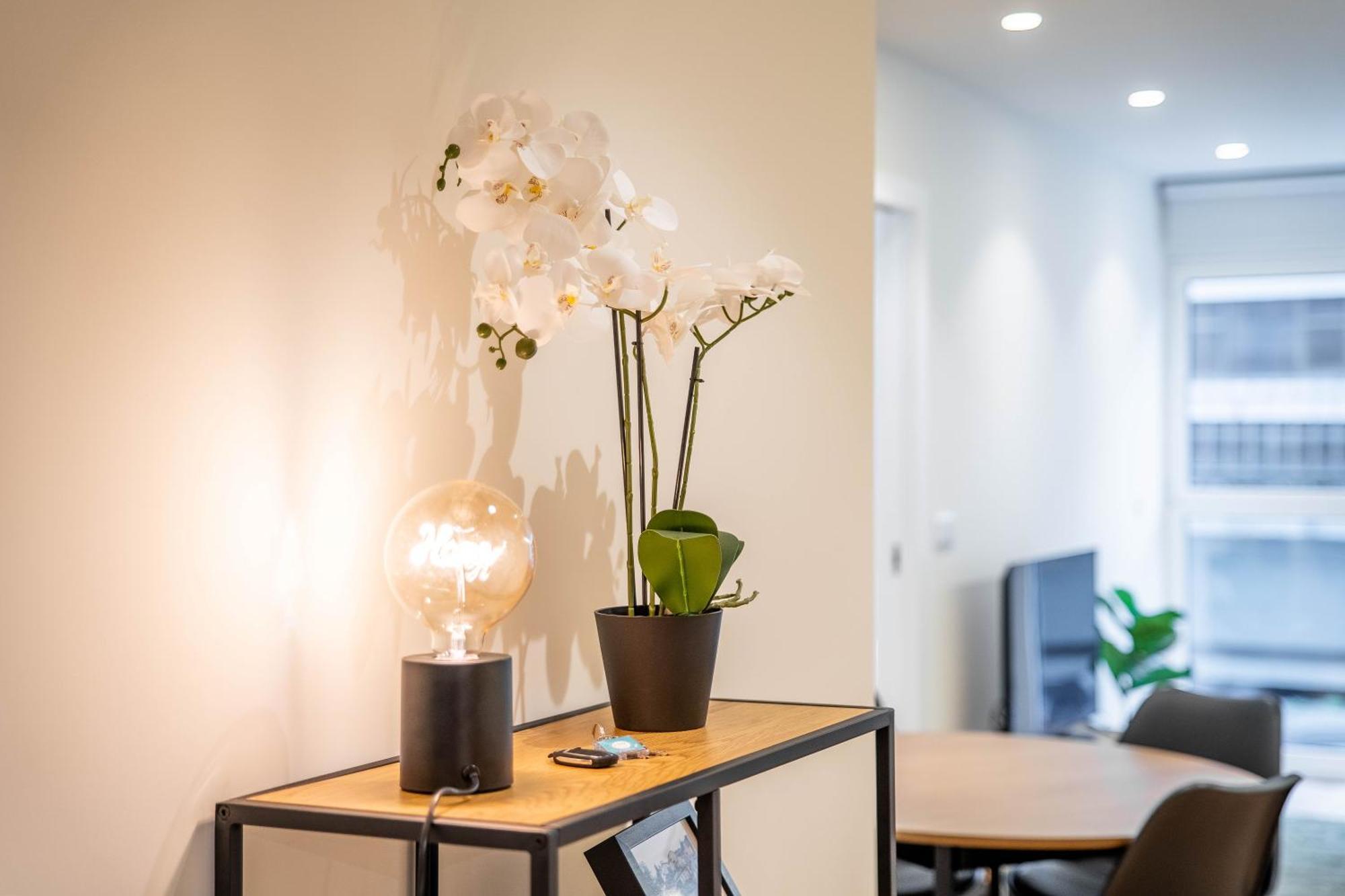 Trindade Bliss: 1Br W/ Free Parking By Lovelystay Porto Exteriér fotografie